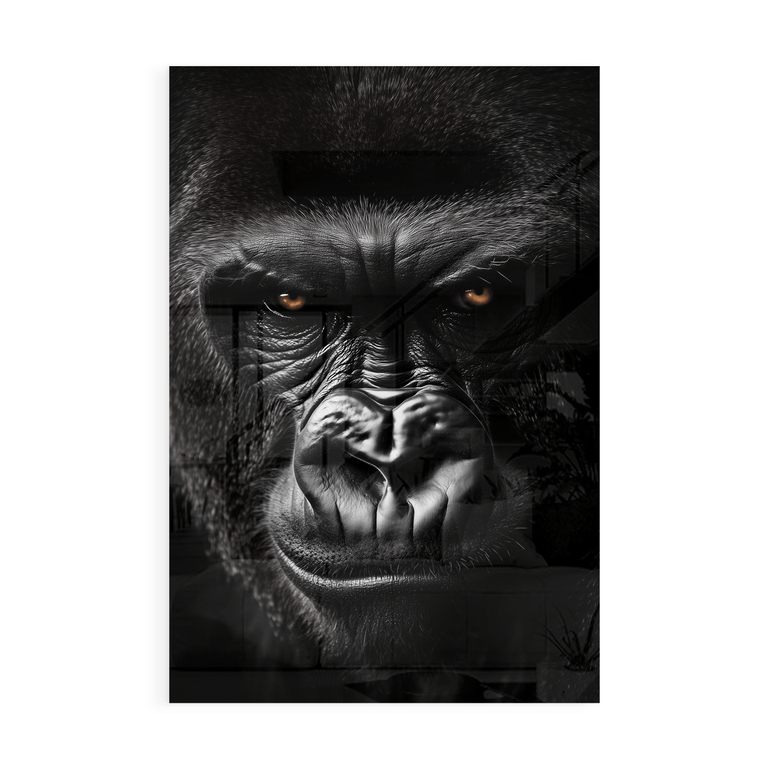 GRUMPY GORILLA*Plexiglas*40x60*Plexiglas*Kunstwerk*Masculina.nl