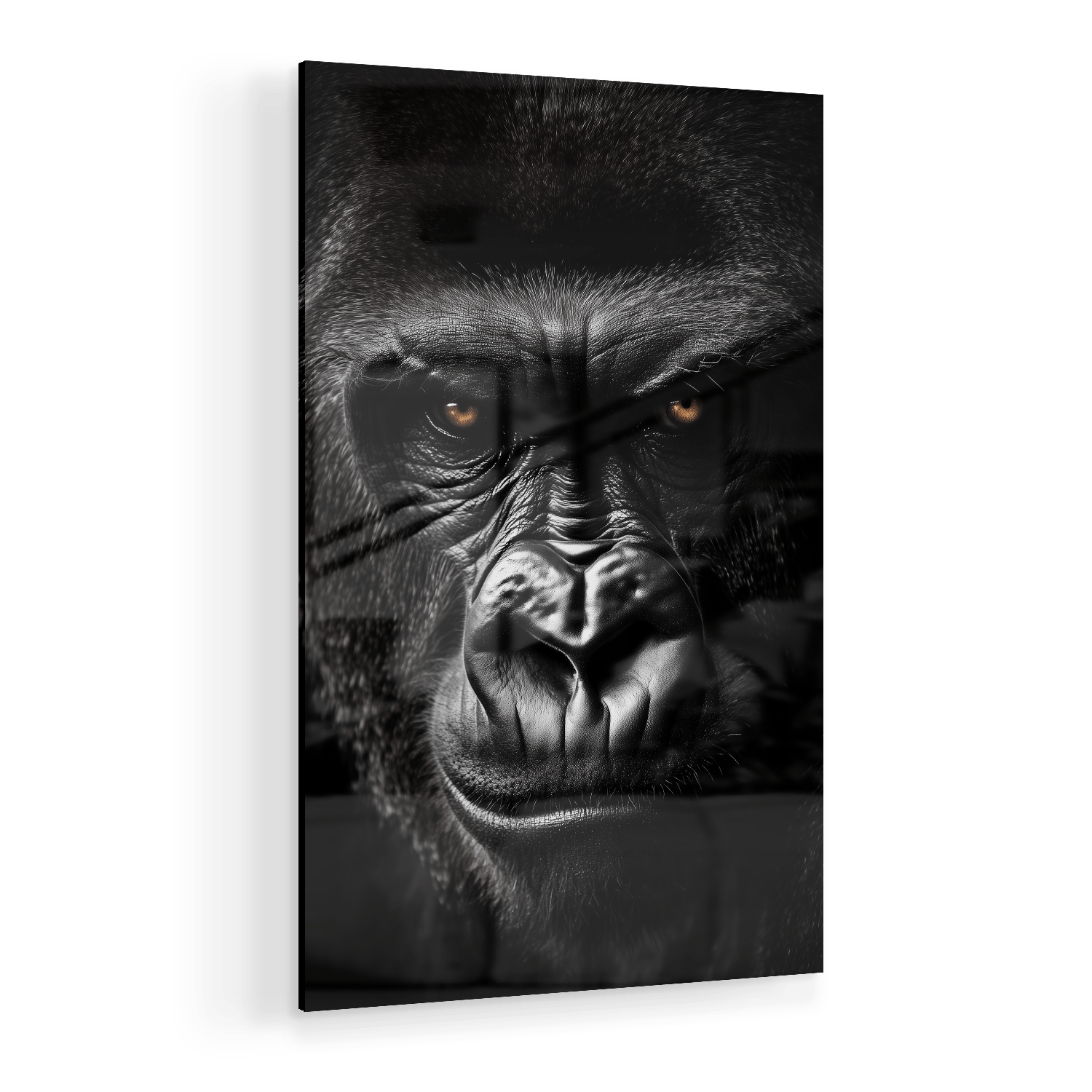 GRUMPY GORILLA*Plexiglas*40x60*Plexiglas*Kunstwerk*Masculina.nl