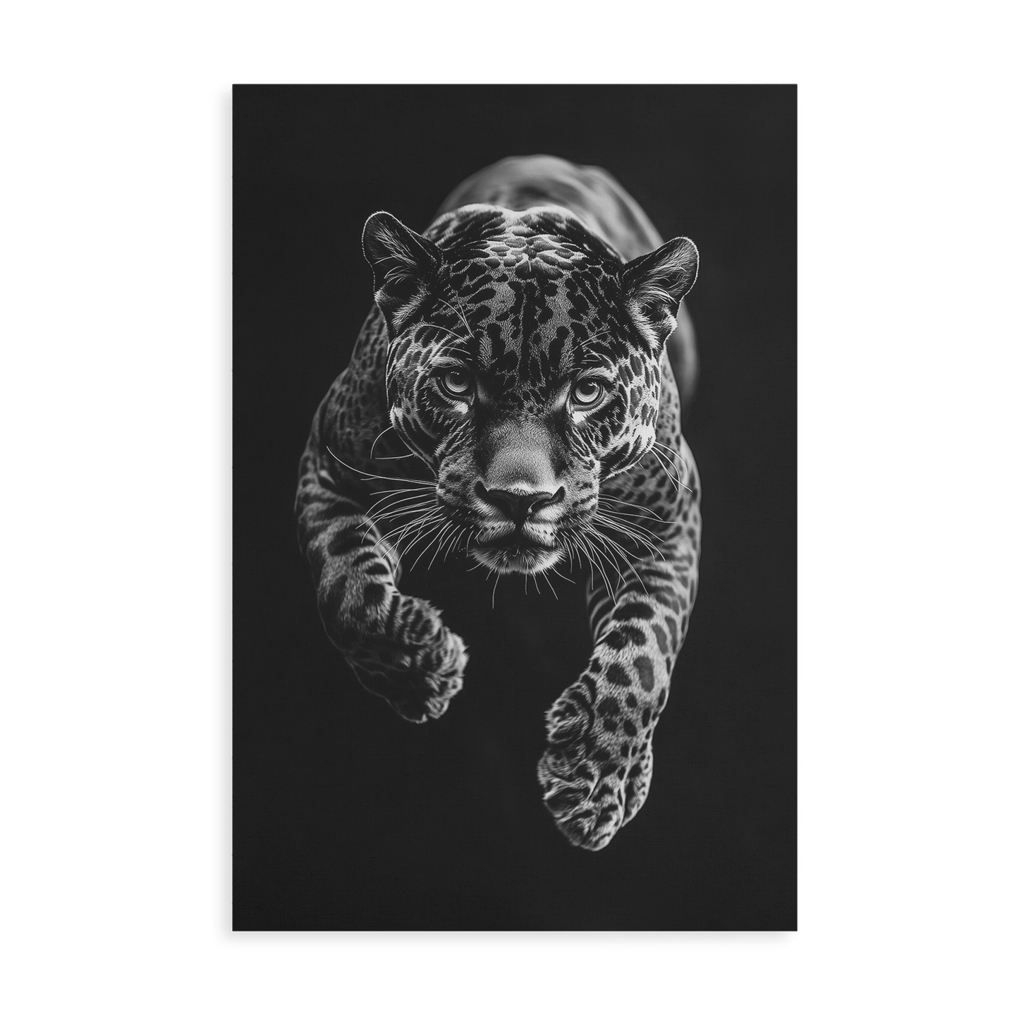 JUMPING JAGUAR*Canvas*40x60*Canvas*Kunstwerk*Masculina.nl