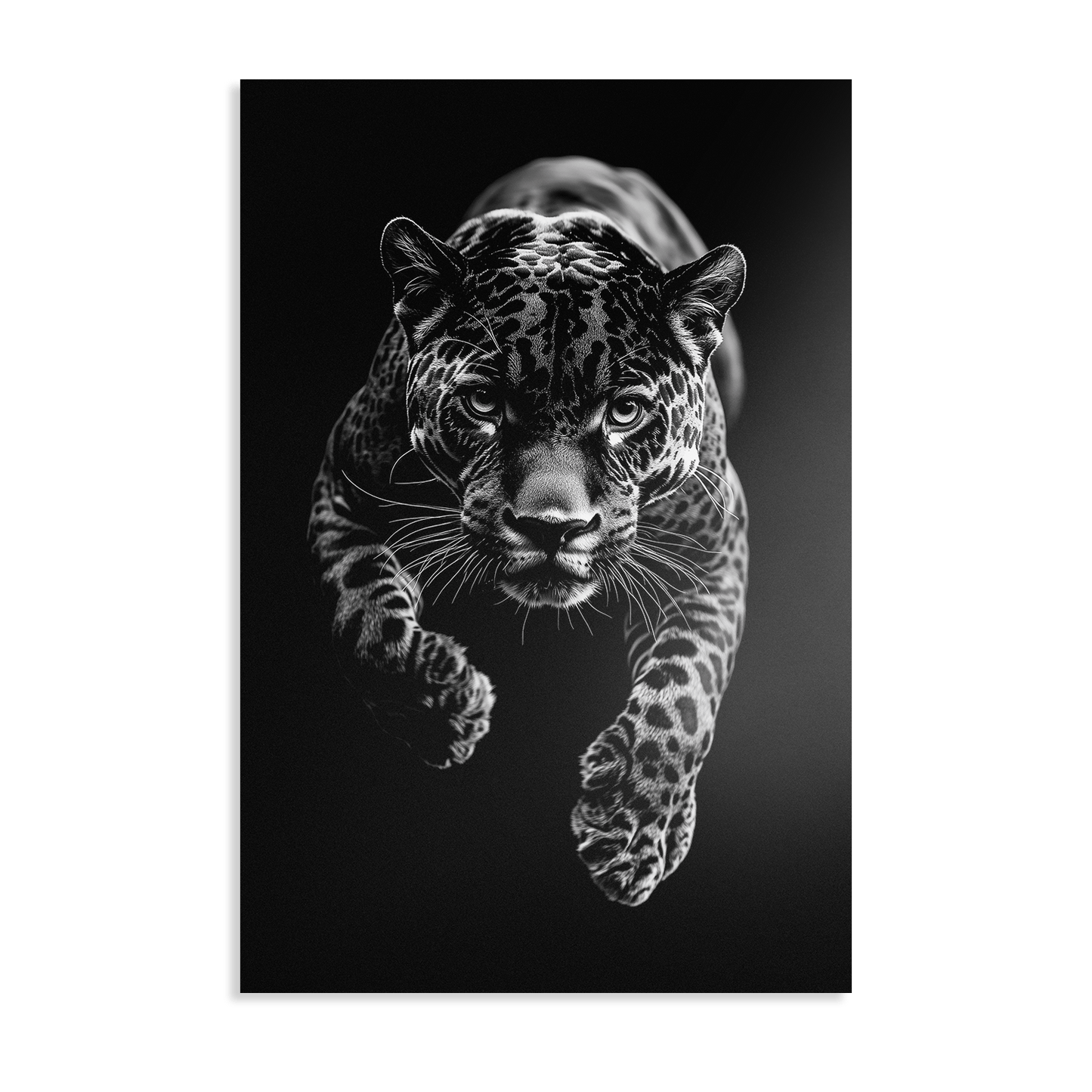 JUMPING JAGUAR*Dibond*40x60*Dibond*Kunstwerk*Masculina.nl