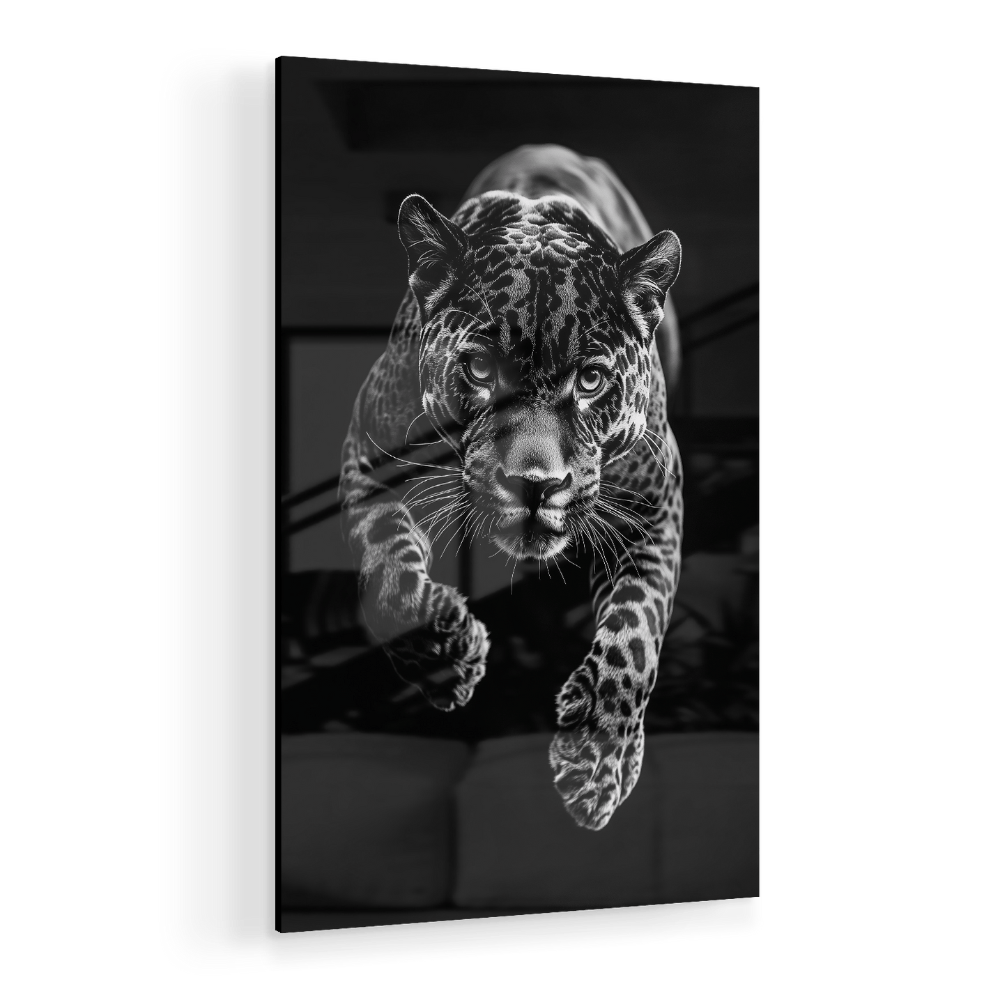 JUMPING JAGUAR*Plexiglas*40x60*Plexiglas*Kunstwerk*Masculina.nl