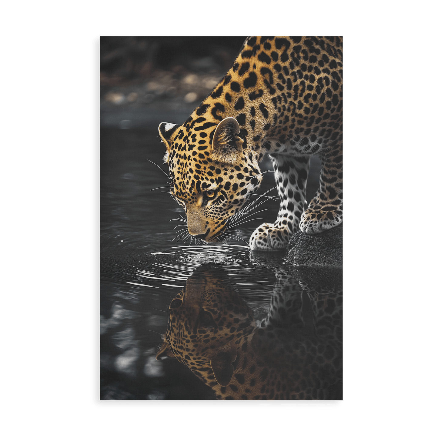 LEOPARD AT WATERSIDE*Canvas*40x60*Canvas*Kunstwerk*Masculina.nl