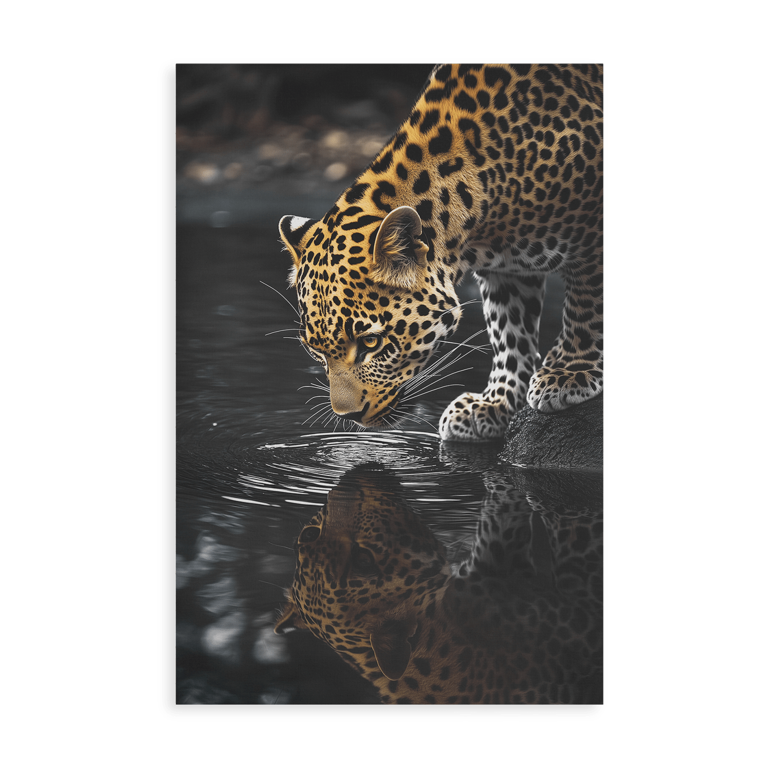 LEOPARD AT WATERSIDE*Canvas*40x60*Canvas*Kunstwerk*Masculina.nl