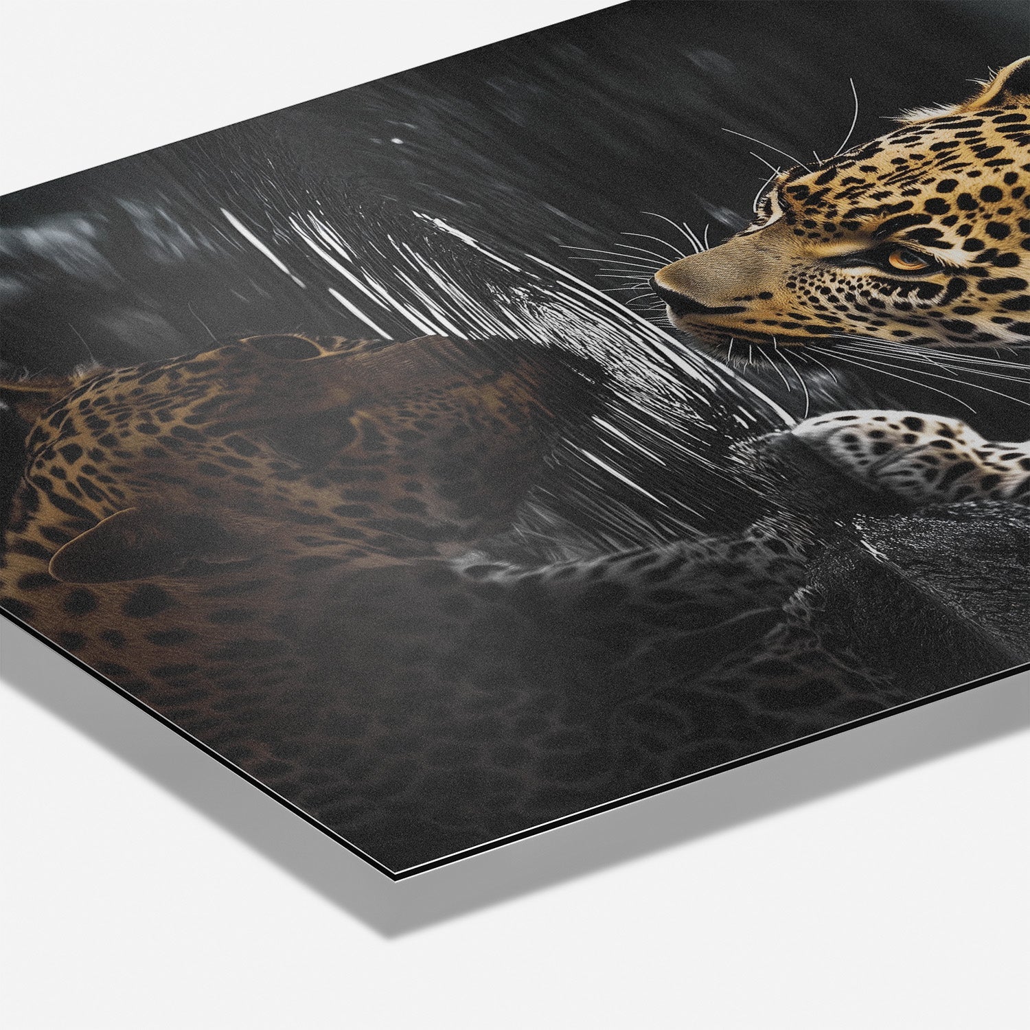 LEOPARD AT WATERSIDE*Dibond*40x60*Dibond*Kunstwerk*Masculina.nl