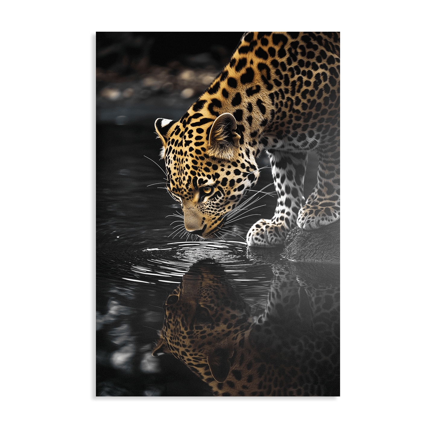 LEOPARD AT WATERSIDE*Dibond*40x60*Dibond*Kunstwerk*Masculina.nl