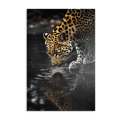 LEOPARD AT WATERSIDE*Dibond*40x60*Dibond*Kunstwerk*Masculina.nl