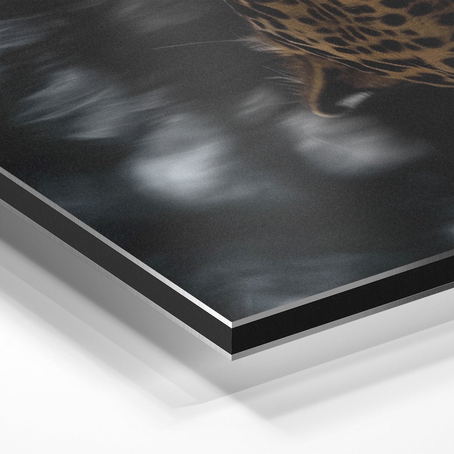 LEOPARD AT WATERSIDE*Dibond*40x60*Dibond*Kunstwerk*Masculina.nl