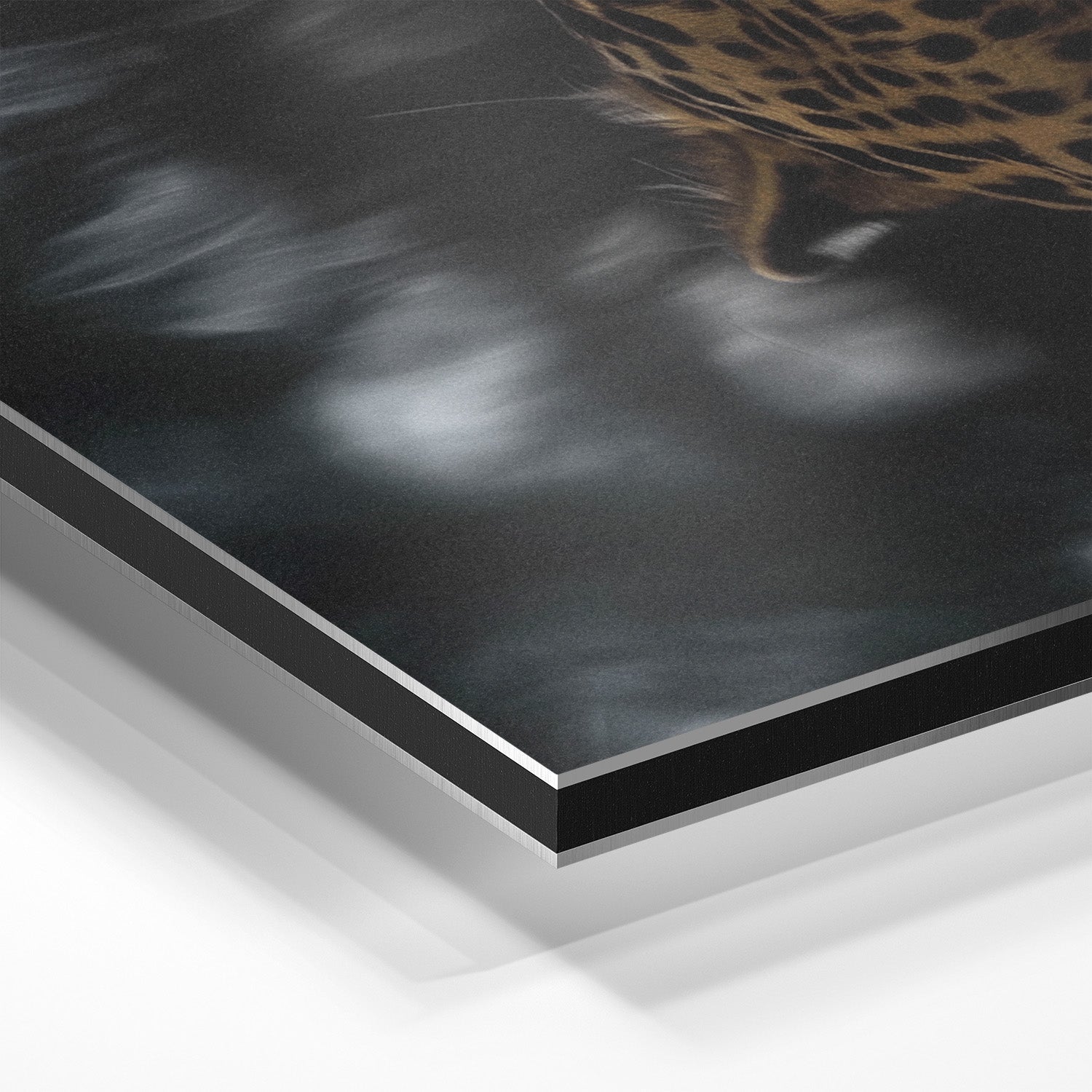 LEOPARD AT WATERSIDE*Dibond*40x60*Dibond*Kunstwerk*Masculina.nl