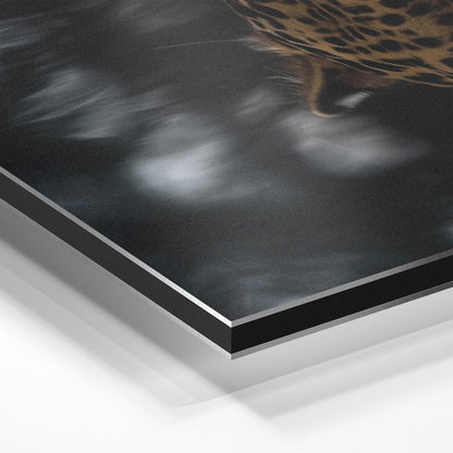 LEOPARD AT WATERSIDE*Dibond*40x60*Dibond*Kunstwerk*Masculina.nl
