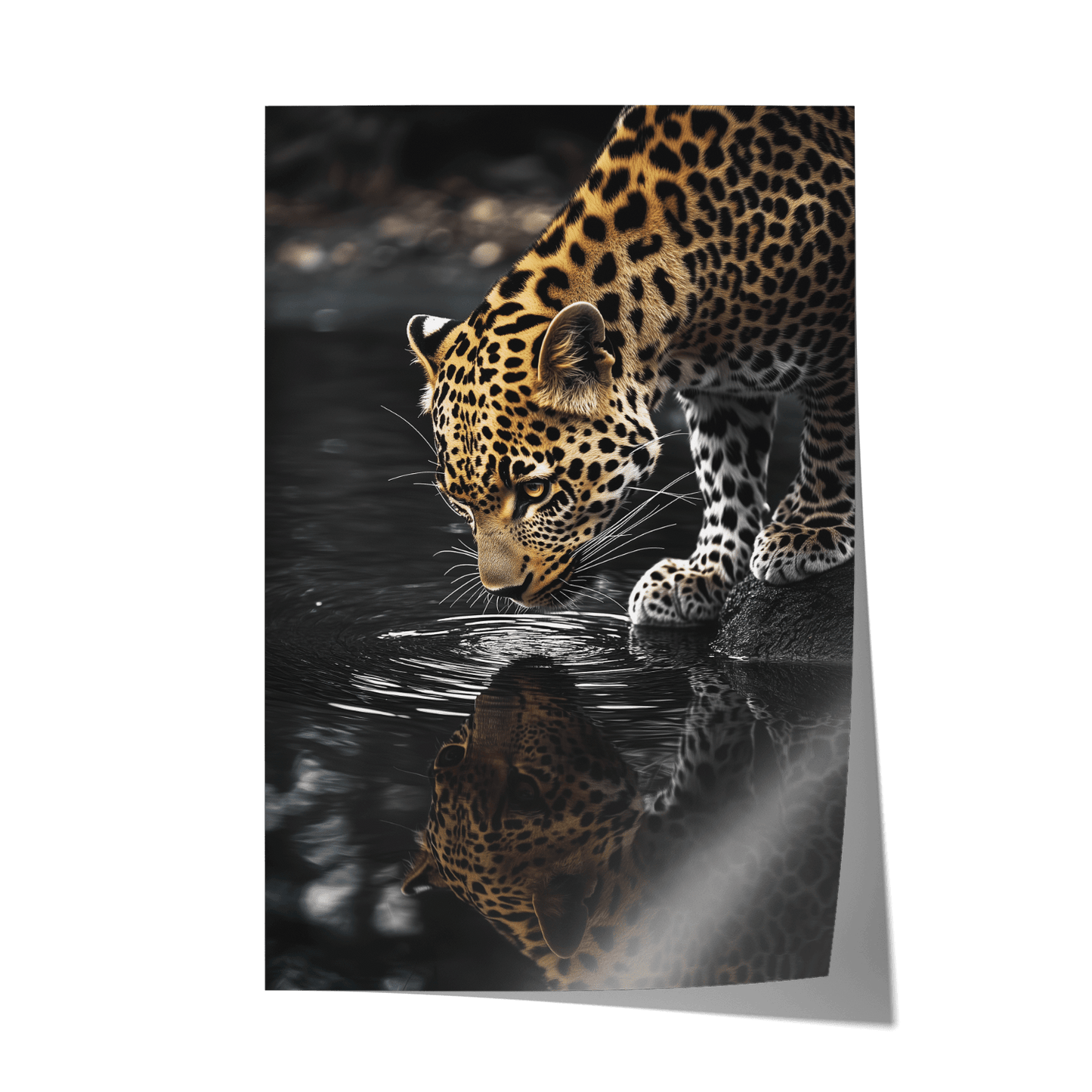 LEOPARD AT WATERSIDE*Papier*40x60*Papier*Kunstwerk*Masculina.nl