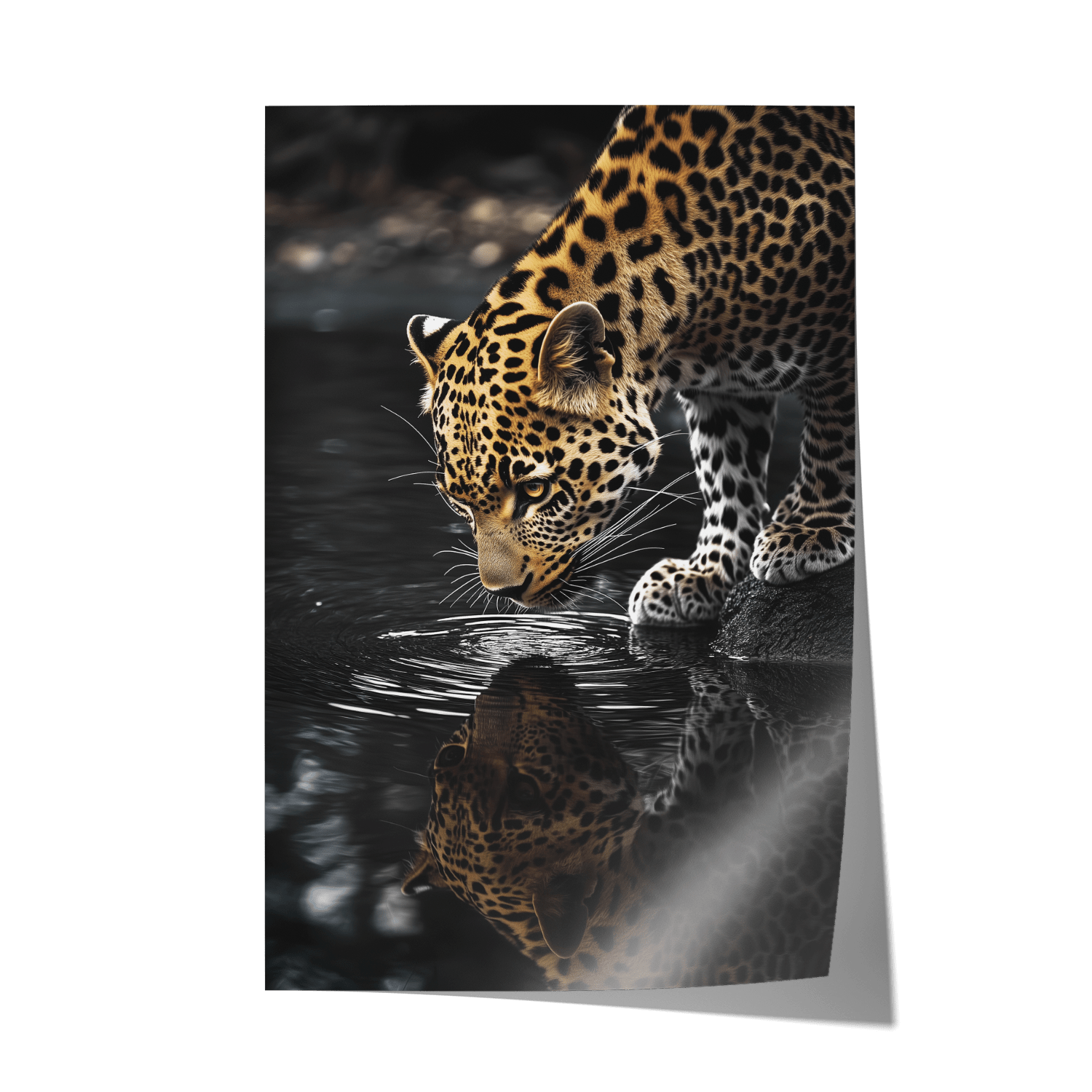 LEOPARD AT WATERSIDE*Papier*40x60*Papier*Kunstwerk*Masculina.nl