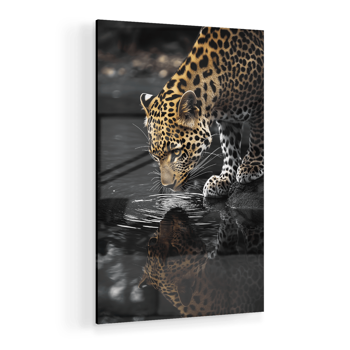 LEOPARD AT WATERSIDE*Plexiglas*40x60*Plexiglas*Kunstwerk*Masculina.nl