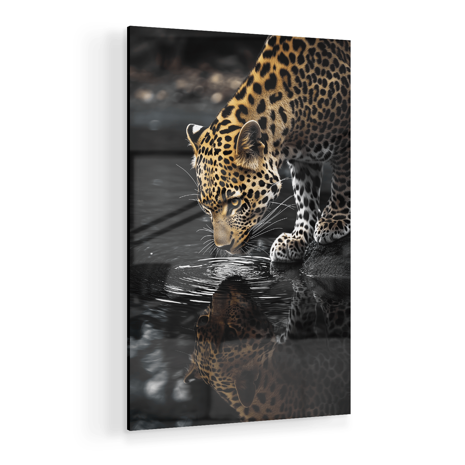 LEOPARD AT WATERSIDE*Plexiglas*40x60*Plexiglas*Kunstwerk*Masculina.nl