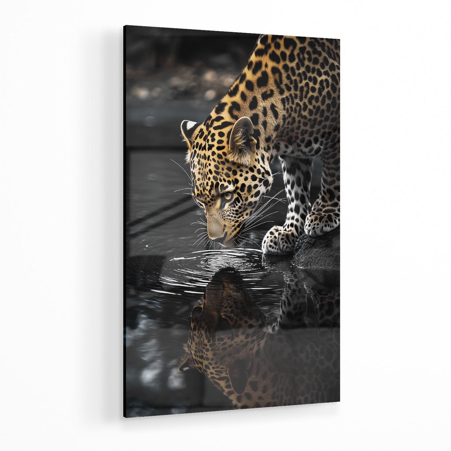 LEOPARD AT WATERSIDE