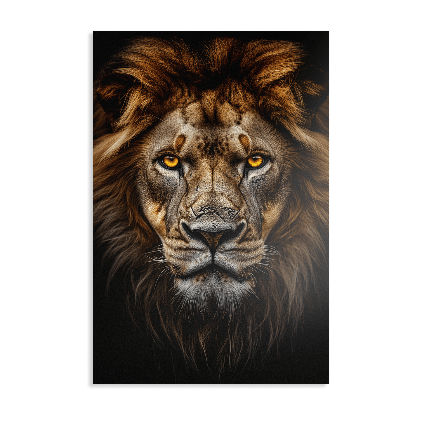 LION PORTRAIT*Dibond*40x60*Dibond*Kunstwerk*Masculina.nl