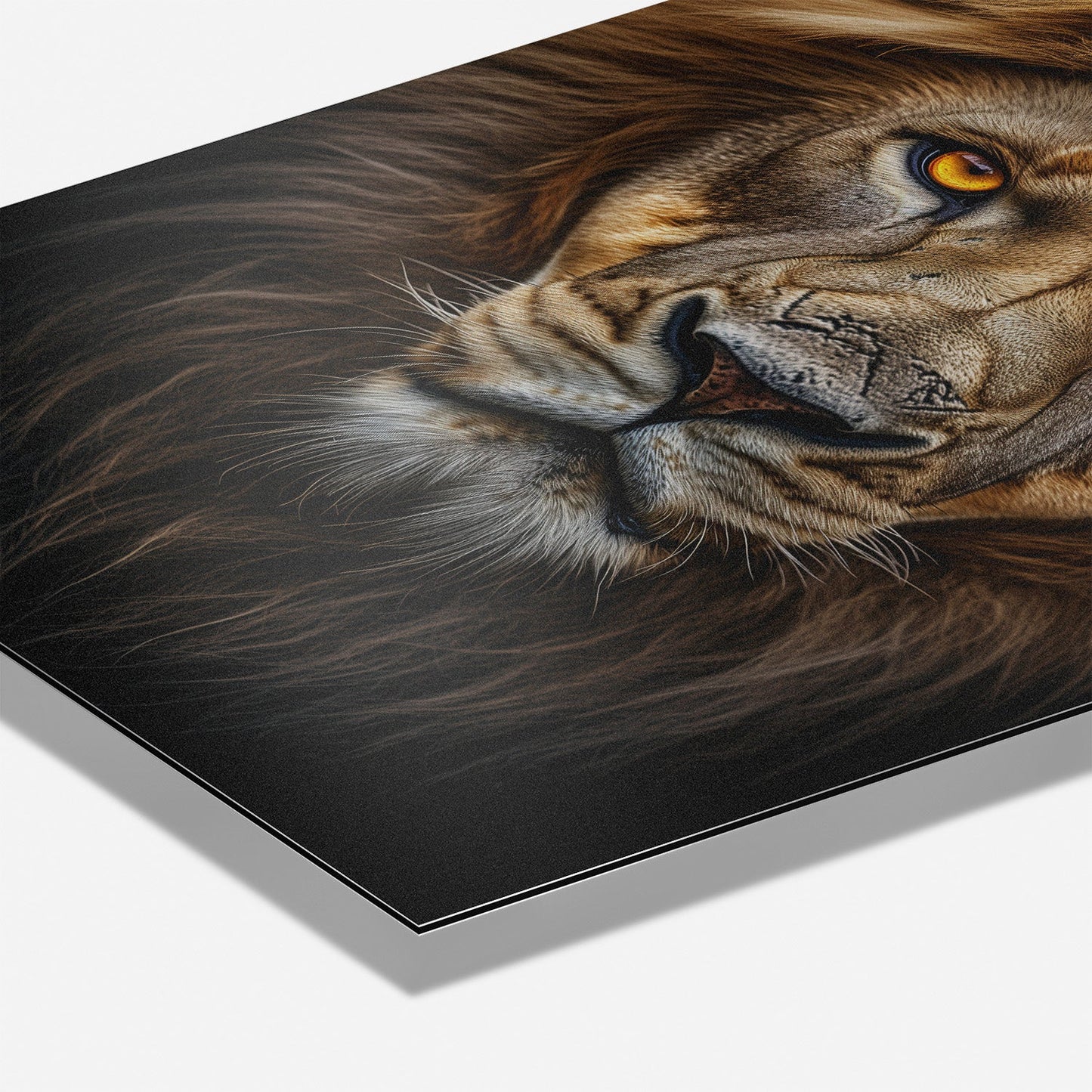 LION PORTRAIT*Dibond*40x60*Dibond*Kunstwerk*Masculina.nl