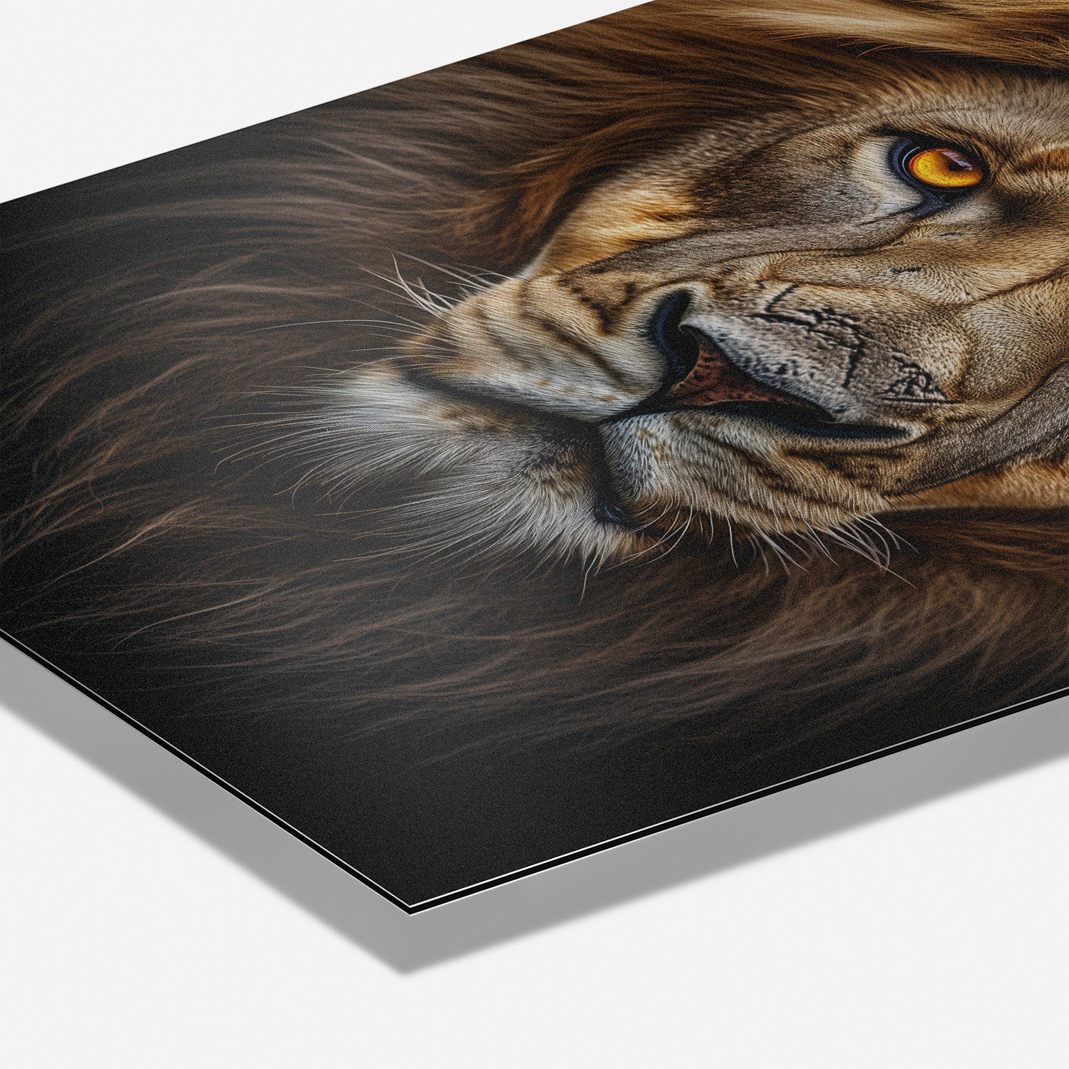 LION PORTRAIT*Dibond*40x60*Dibond*Kunstwerk*Masculina.nl