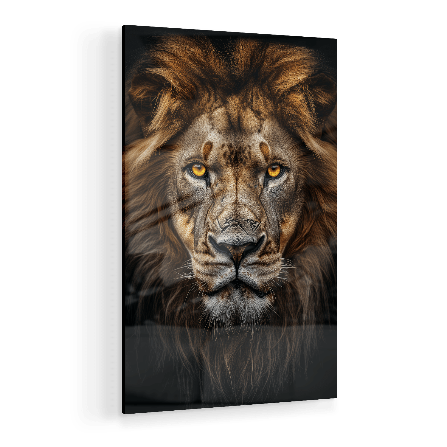 LION PORTRAIT*Plexiglas*40x60*Plexiglas*Kunstwerk*Masculina.nl