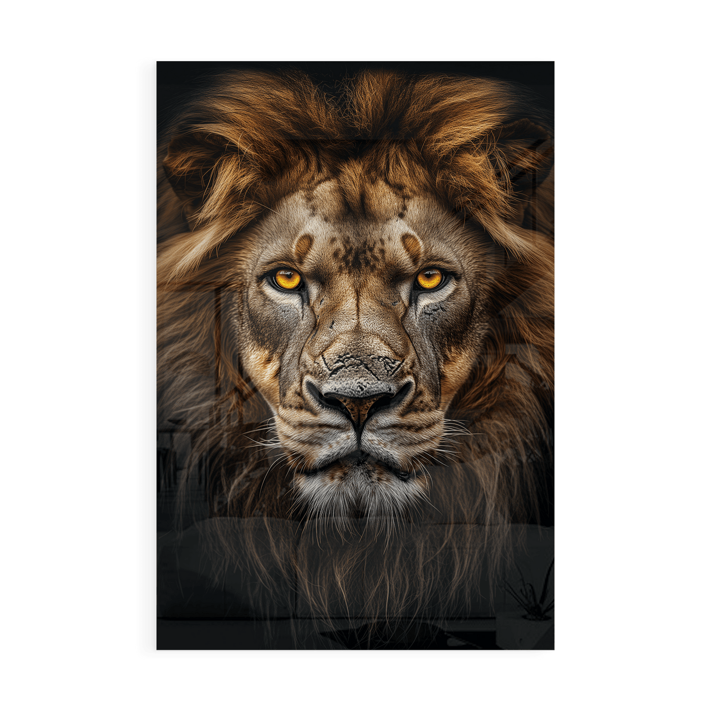 LION PORTRAIT*Plexiglas*40x60*Plexiglas*Kunstwerk*Masculina.nl