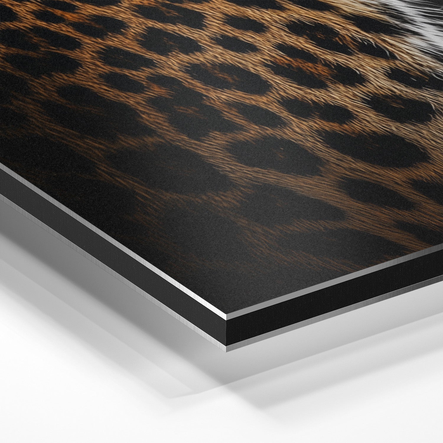 LOCKED IN SILENCE*Dibond*40x60*Dibond*Kunstwerk*Masculina.nl