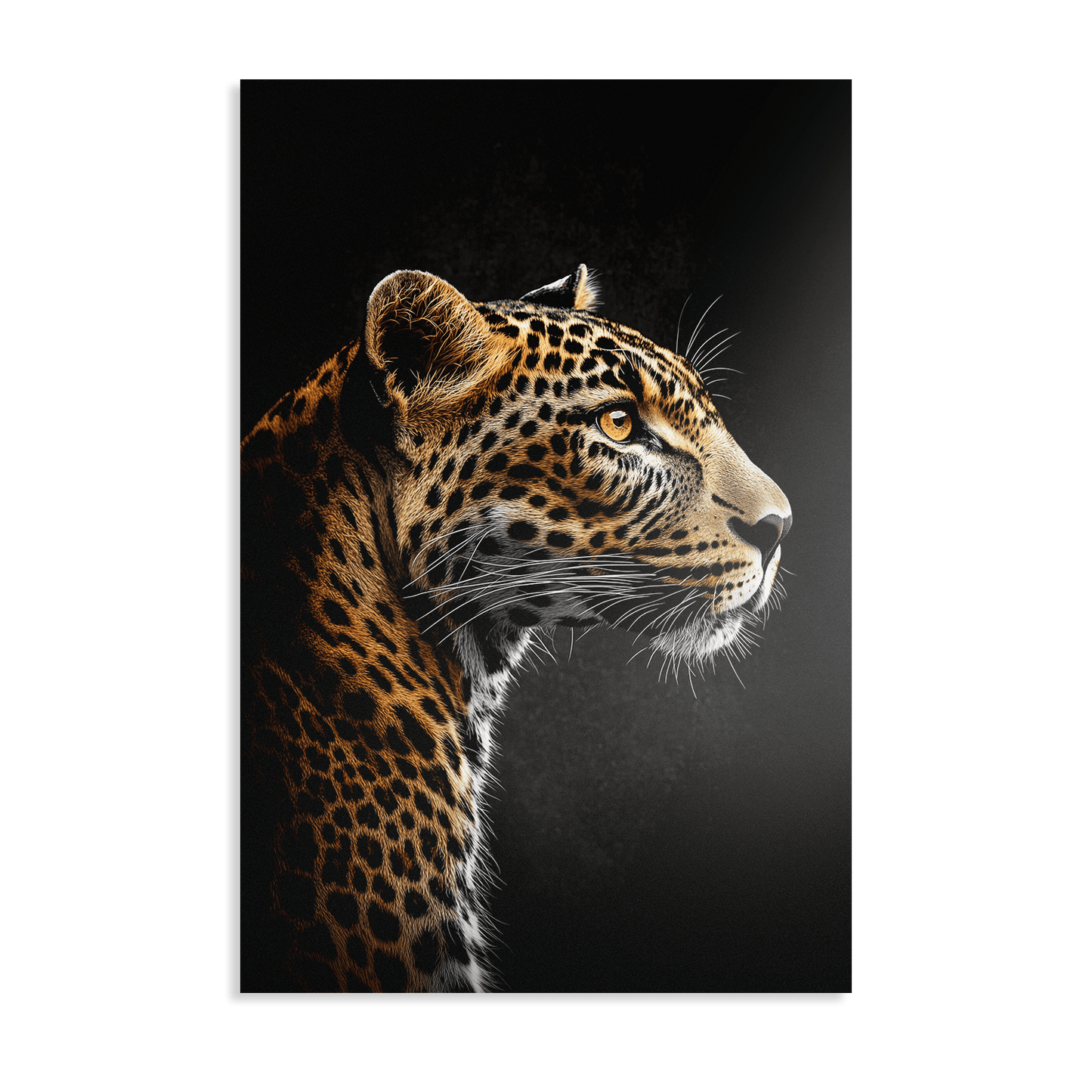 LOCKED IN SILENCE*Dibond*40x60*Dibond*Kunstwerk*Masculina.nl