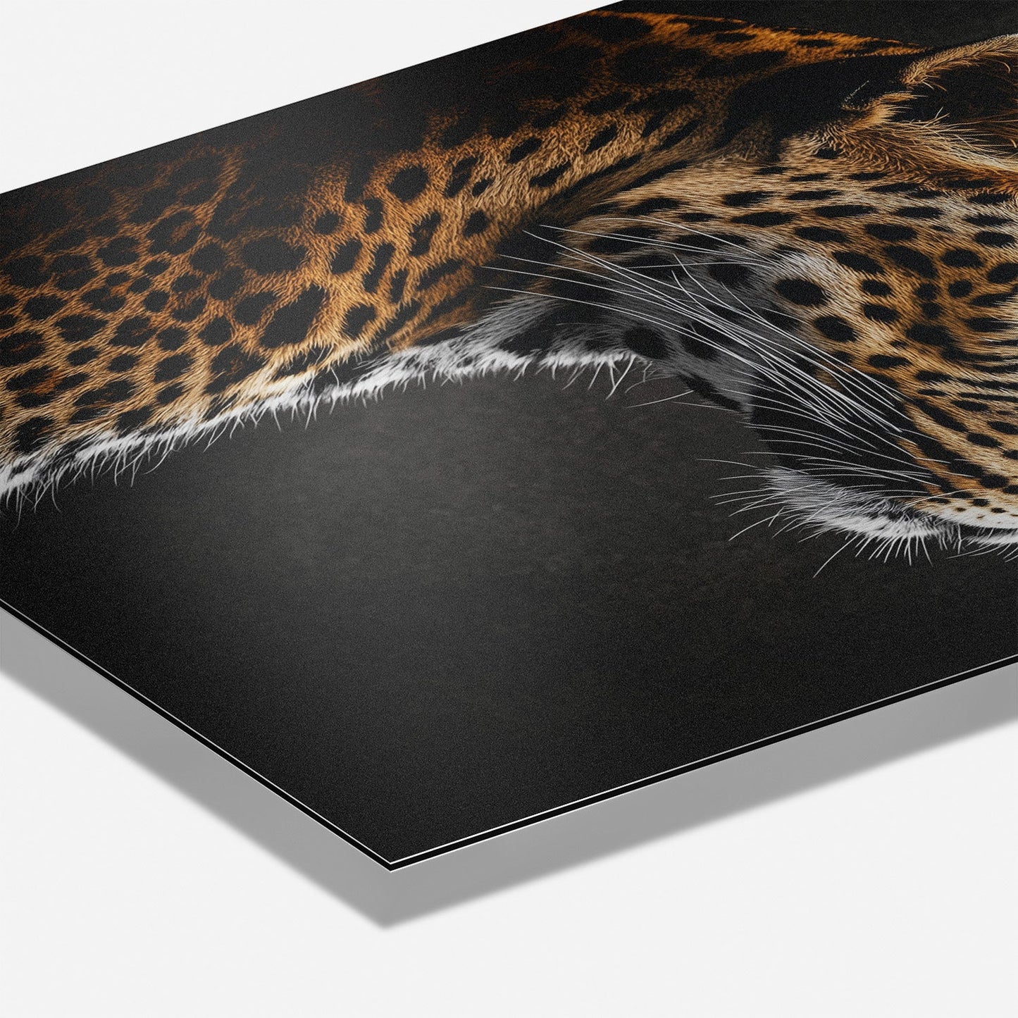 LOCKED IN SILENCE*Dibond*40x60*Dibond*Kunstwerk*Masculina.nl