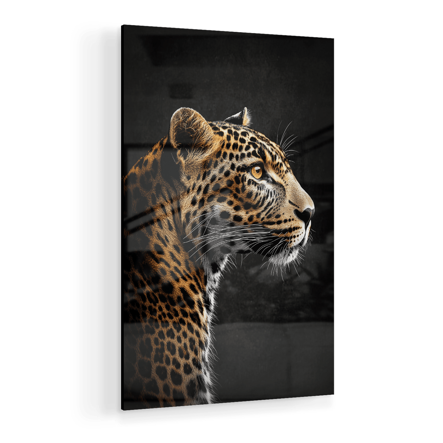LOCKED IN SILENCE*Plexiglas*40x60*Plexiglas*Kunstwerk*Masculina.nl