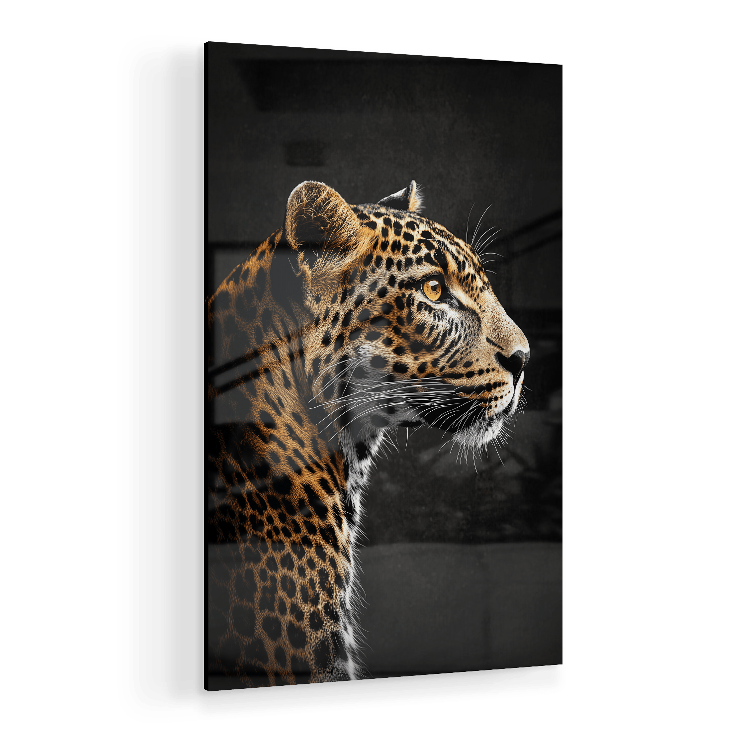 LOCKED IN SILENCE*Plexiglas*40x60*Plexiglas*Kunstwerk*Masculina.nl