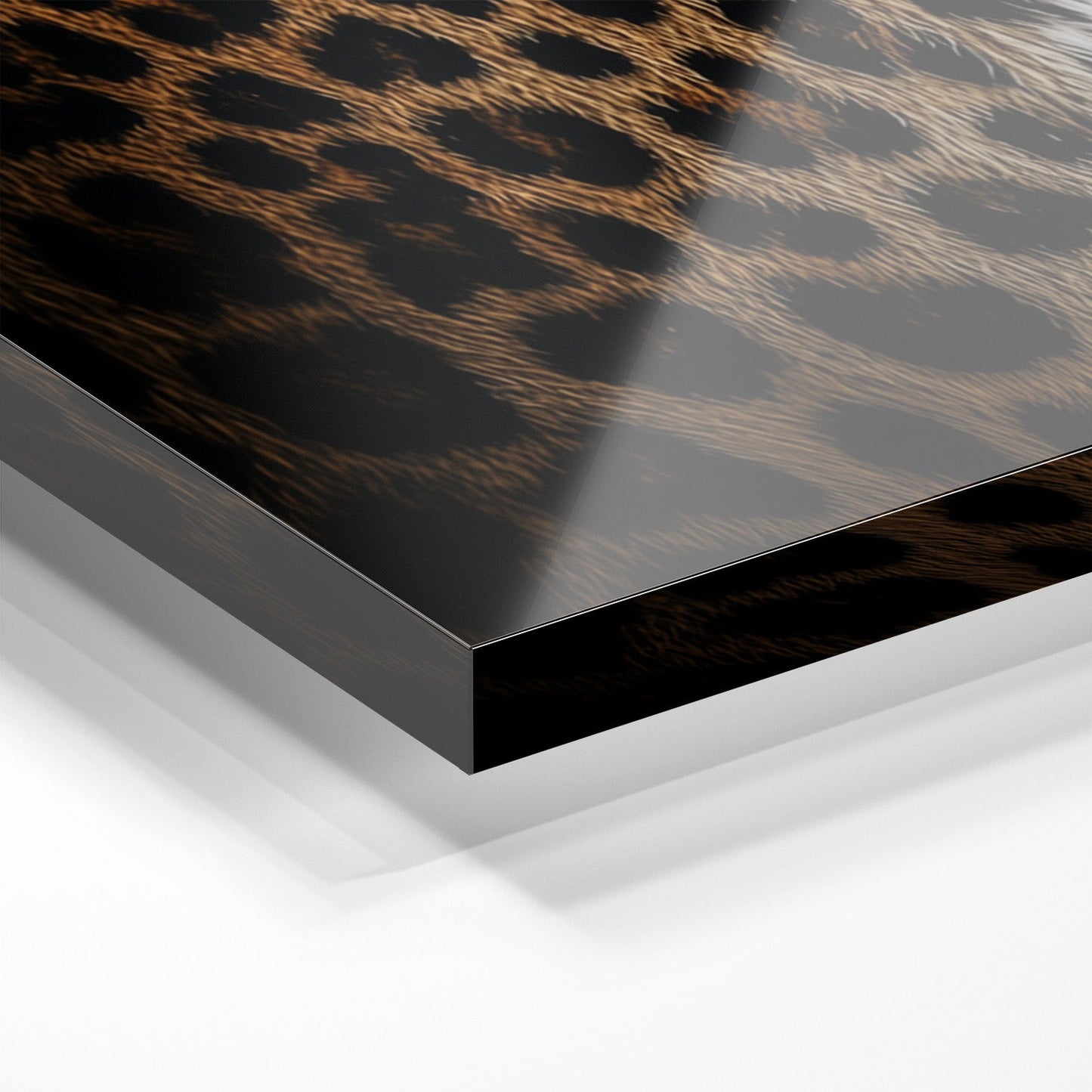 LOCKED IN SILENCE*Plexiglas*40x60*Plexiglas*Kunstwerk*Masculina.nl