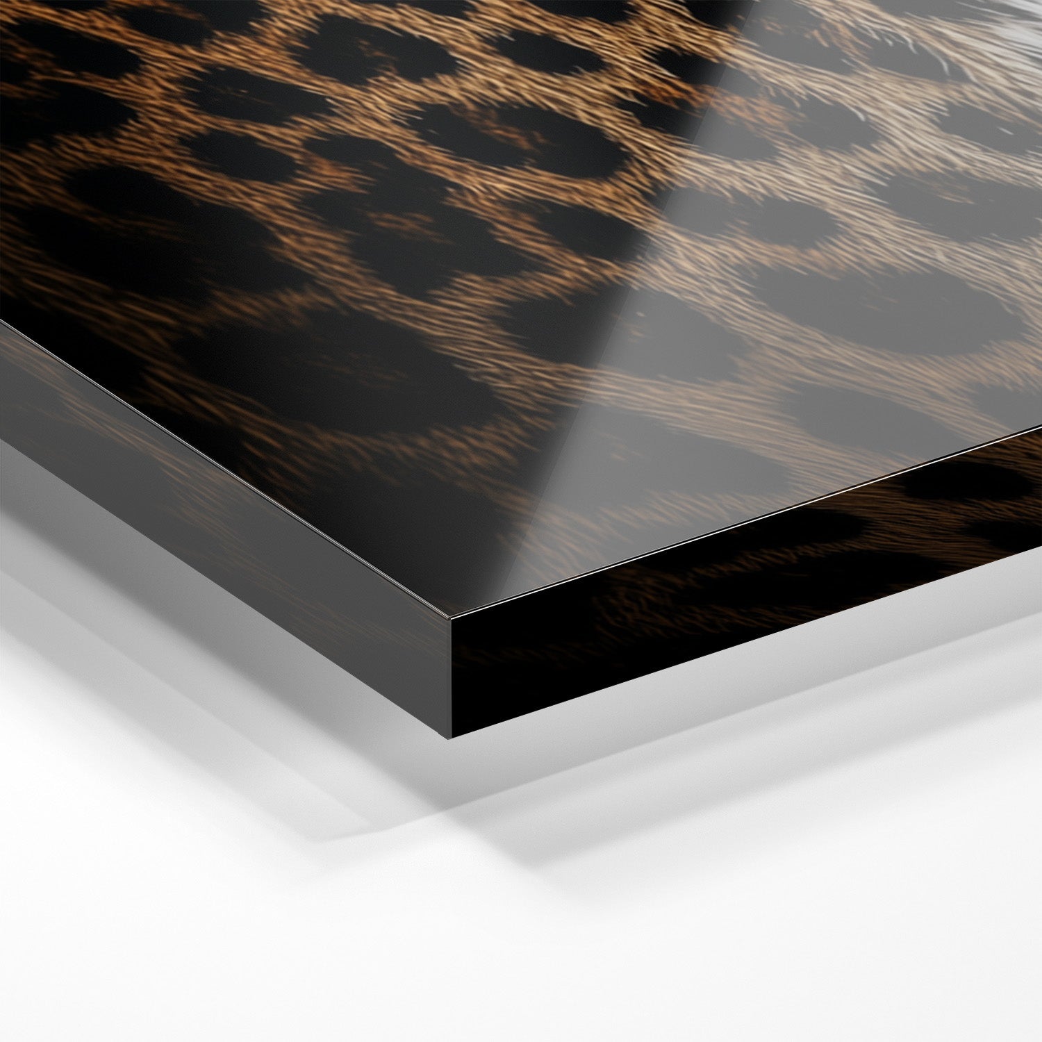 LOCKED IN SILENCE*Plexiglas*40x60*Plexiglas*Kunstwerk*Masculina.nl