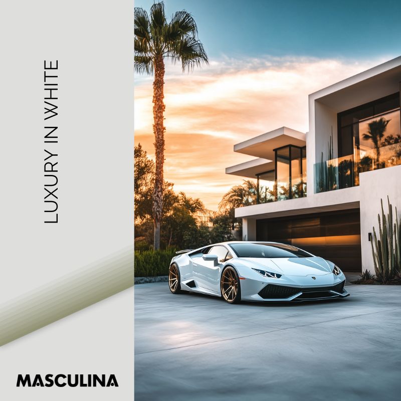 LUXURY IN WHITE*Canvas*40x60*Baklijst*Kunstwerk*Masculina.nl