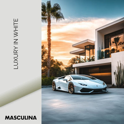 LUXURY IN WHITE*Canvas*40x60*Baklijst*Kunstwerk*Masculina.nl