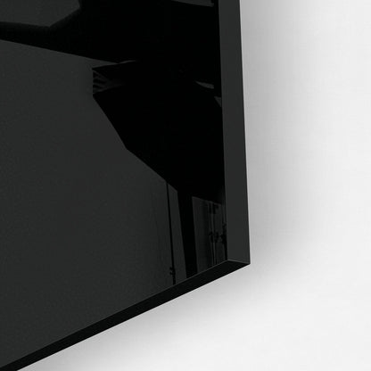 MIDNIGHT FLAMINGO*Plexiglas*40x60*Plexiglas*Kunstwerk*Masculina.nl