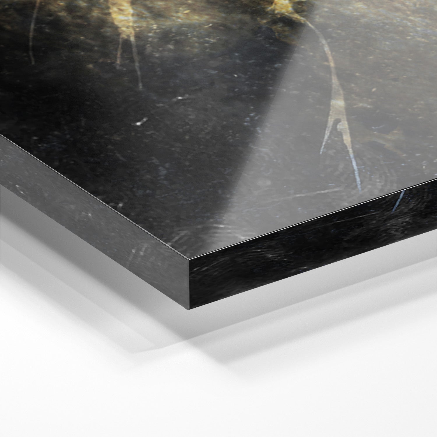 NO RISK NO ROLEX - GOLD*Plexiglas*40x60 cm*Plexiglas*Kunstwerk*Masculina.nl