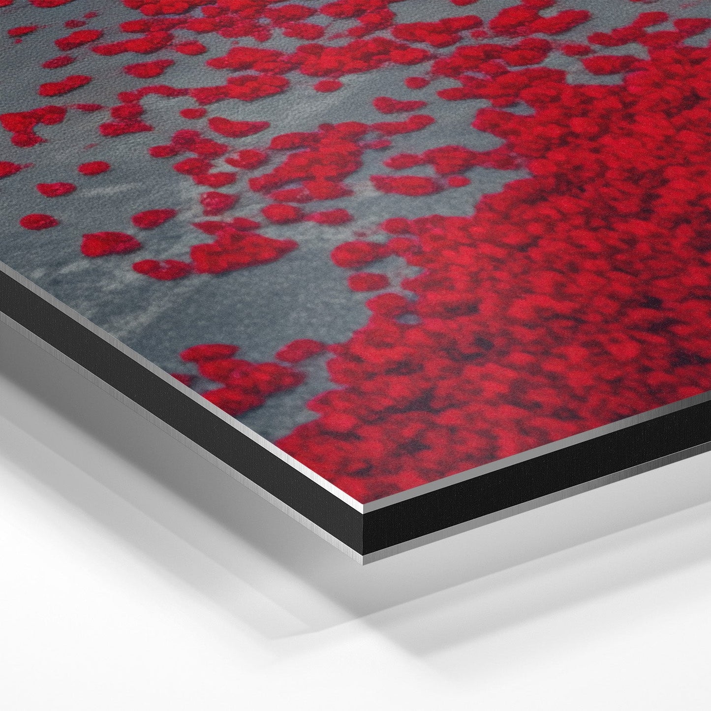 PORSCHE 992 GT3 RS x RED LEAVES*Dibond*40x60*Dibond*Kunstwerk*Masculina.nl