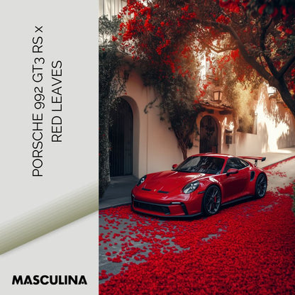 PORSCHE 992 GT3 RS x RED LEAVES*Plexiglas*40x60 cm*Plexiglas*Kunstwerk*Masculina.nl