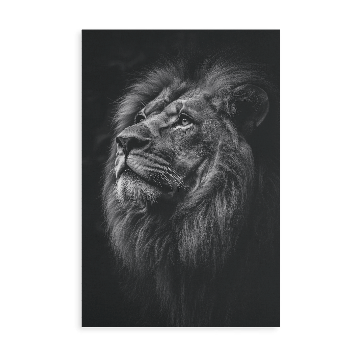 SERENITY OF STRENGTH*Canvas*40x60*Canvas*Kunstwerk*Masculina.nl
