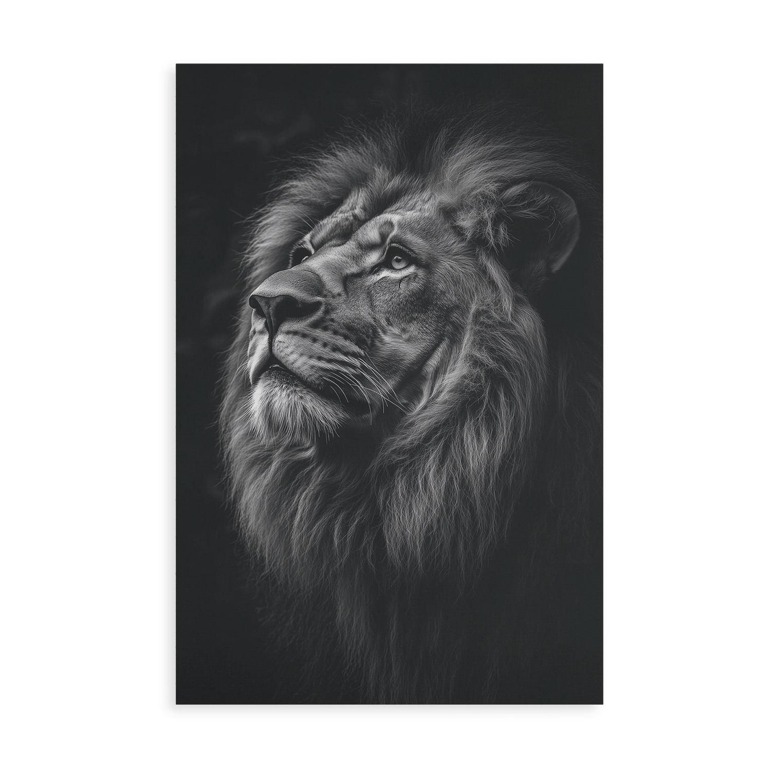SERENITY OF STRENGTH*Canvas*40x60*Canvas*Kunstwerk*Masculina.nl