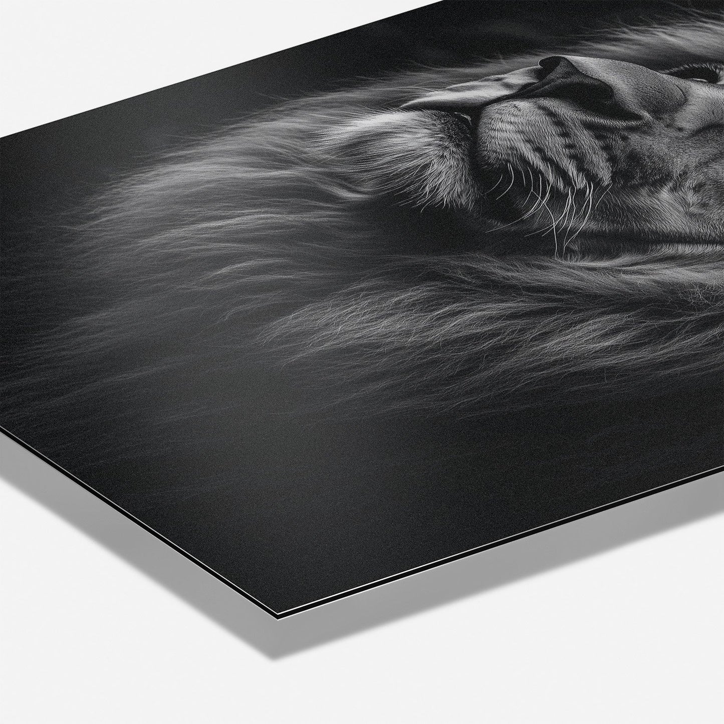 SERENITY OF STRENGTH*Dibond*40x60*Dibond*Kunstwerk*Masculina.nl