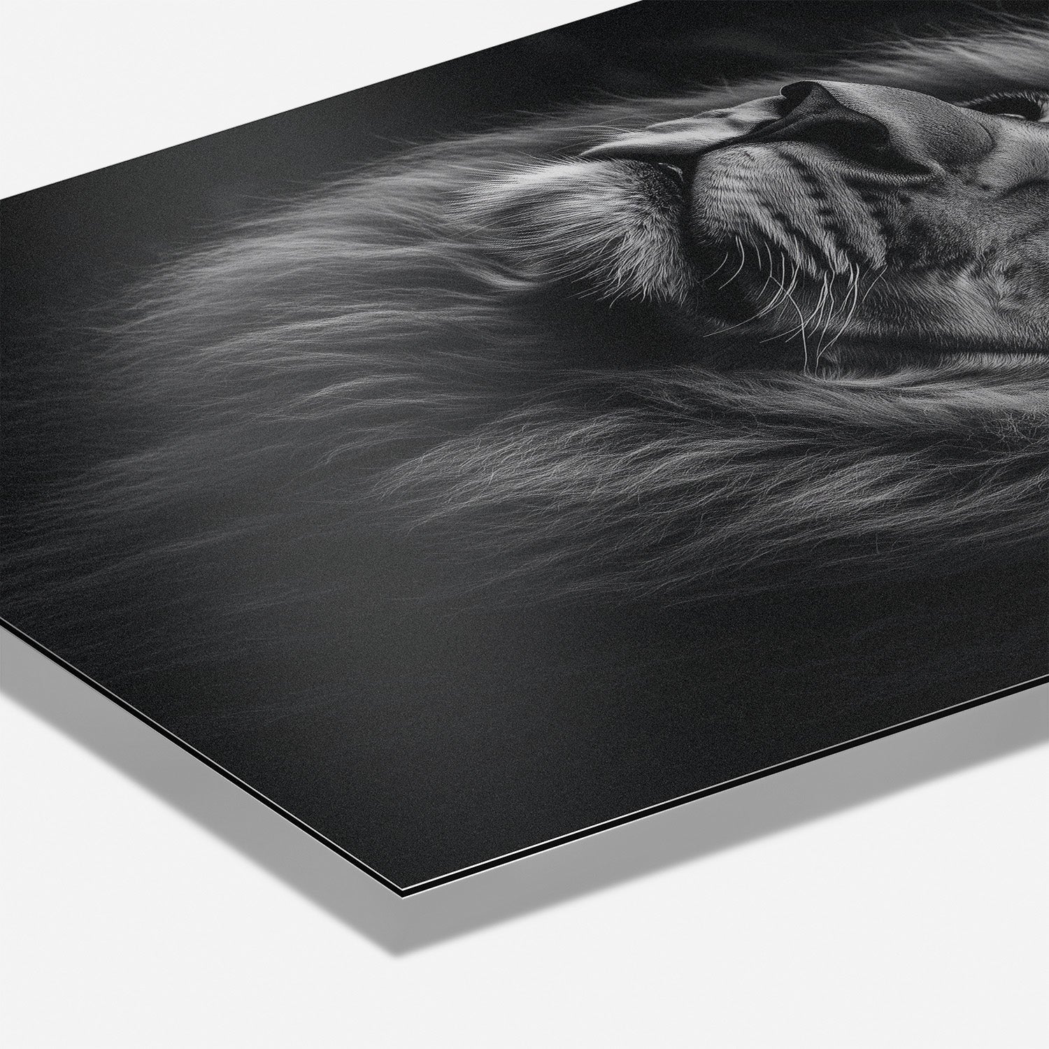 SERENITY OF STRENGTH*Dibond*40x60*Dibond*Kunstwerk*Masculina.nl