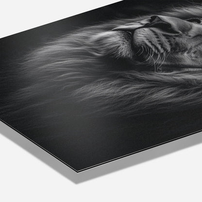SERENITY OF STRENGTH*Dibond*40x60*Dibond*Kunstwerk*Masculina.nl