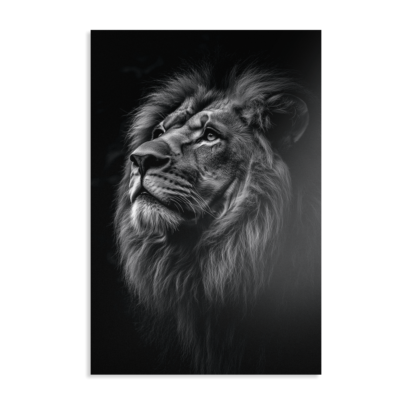 SERENITY OF STRENGTH*Dibond*40x60*Dibond*Kunstwerk*Masculina.nl