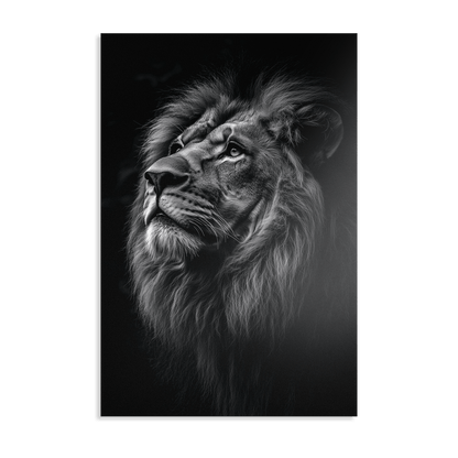 SERENITY OF STRENGTH*Dibond*40x60*Dibond*Kunstwerk*Masculina.nl