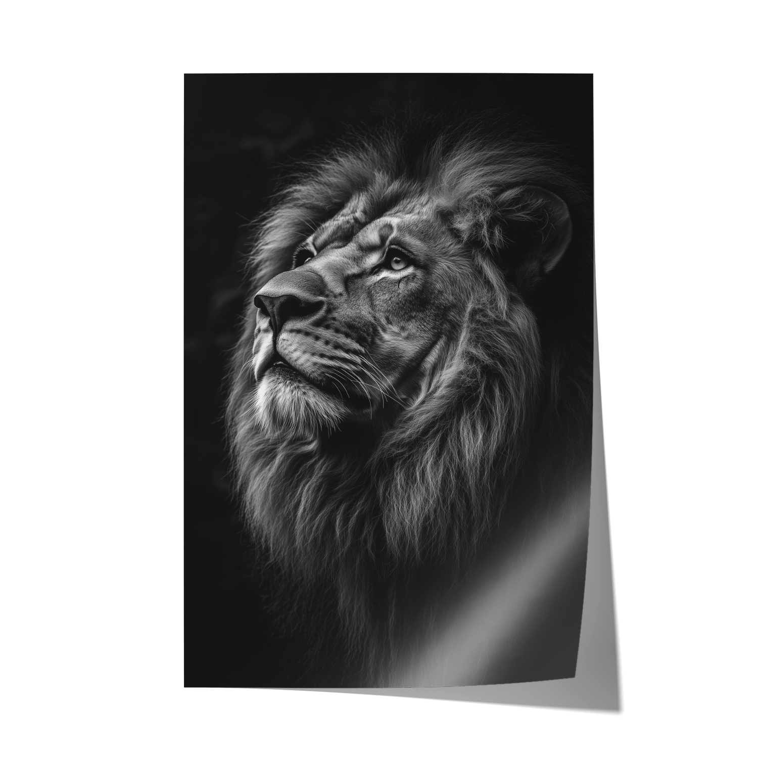 SERENITY OF STRENGTH*Papier*40x60*Papier*Kunstwerk*Masculina.nl