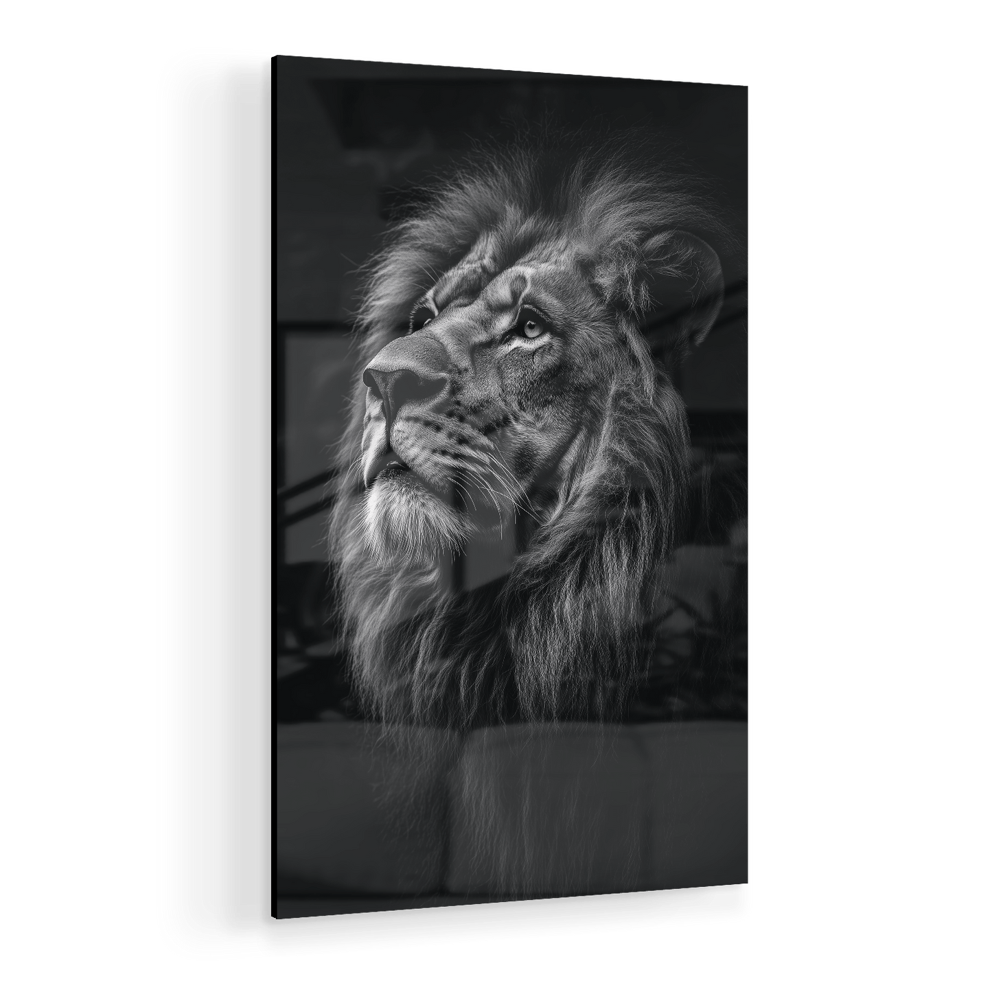 SERENITY OF STRENGTH*Plexiglas*40x60*Plexiglas*Kunstwerk*Masculina.nl