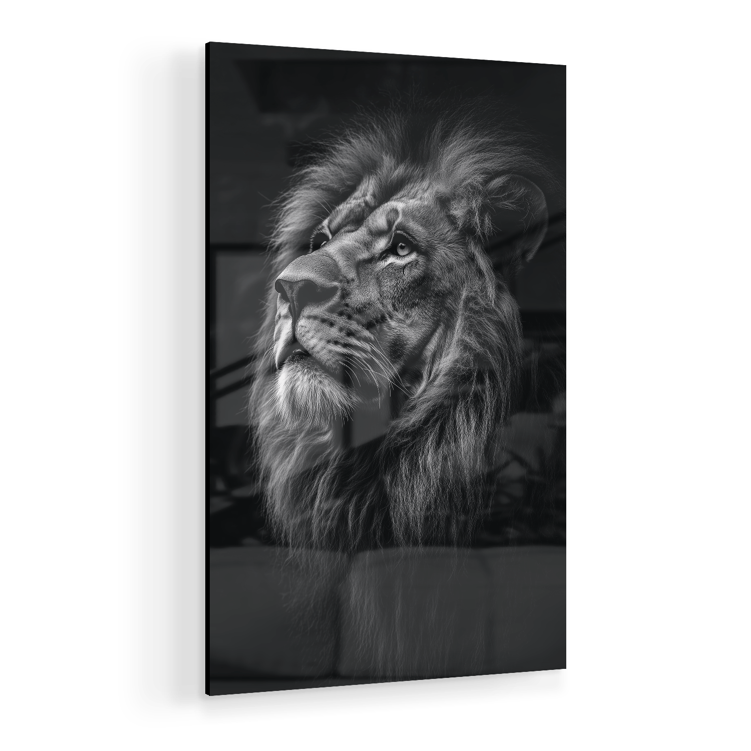 SERENITY OF STRENGTH*Plexiglas*40x60*Plexiglas*Kunstwerk*Masculina.nl