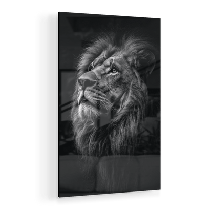 SERENITY OF STRENGTH*Plexiglas*40x60*Plexiglas*Kunstwerk*Masculina.nl