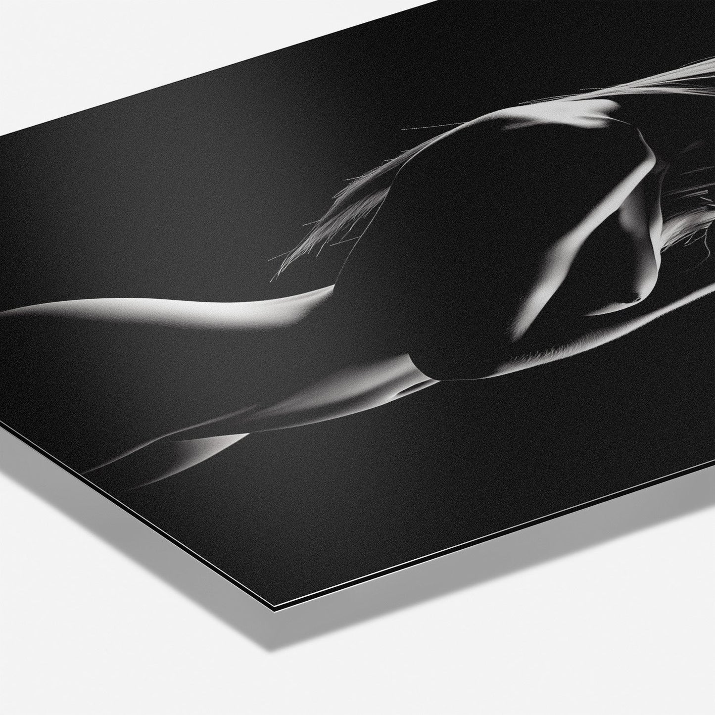 SHADOWPLAY I*Dibond*40x60*Dibond*Kunstwerk*Masculina.nl