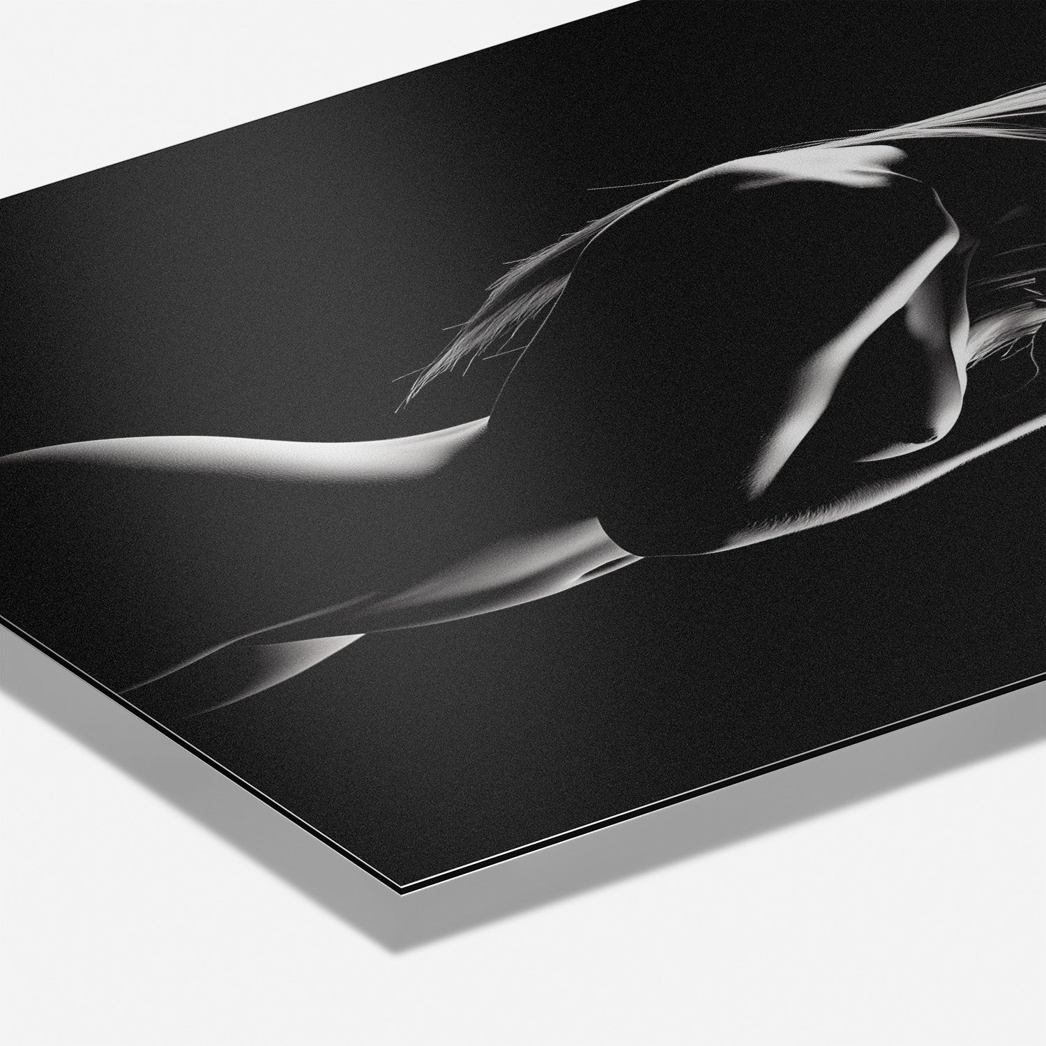 SHADOWPLAY I*Dibond*40x60*Dibond*Kunstwerk*Masculina.nl