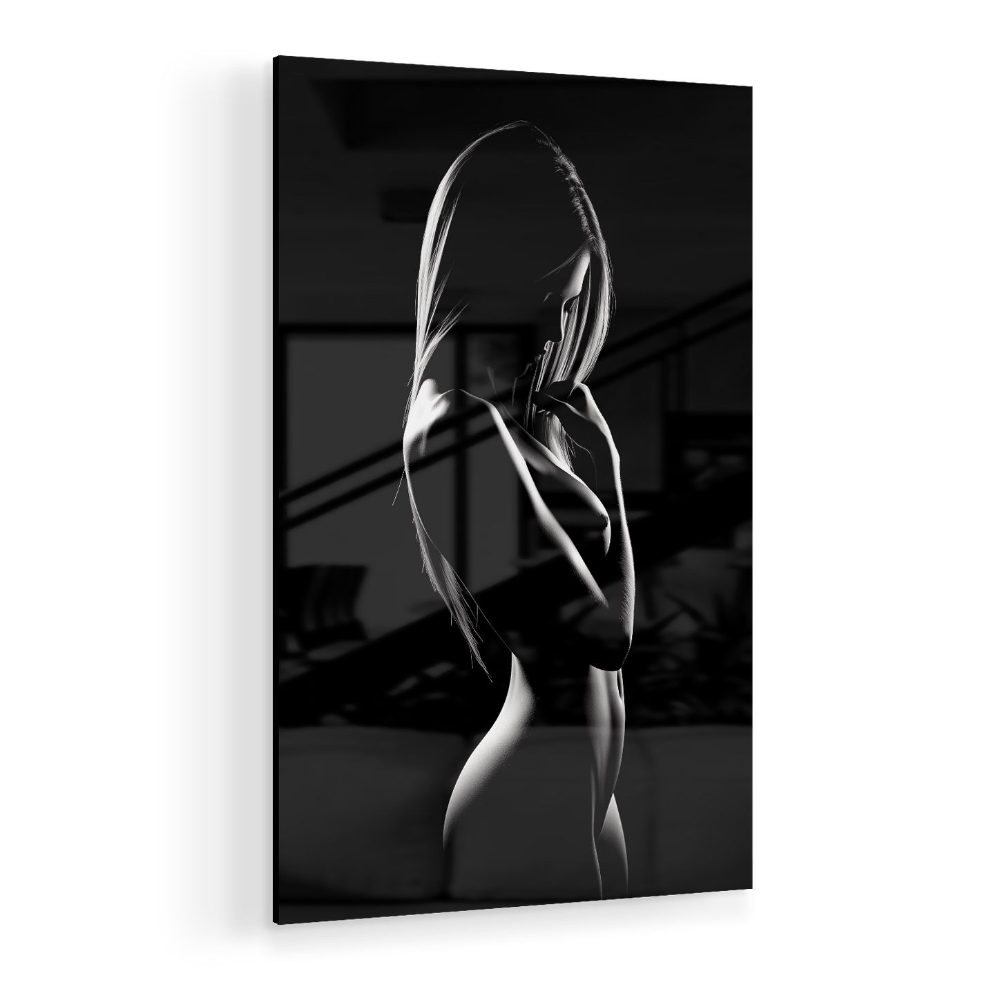 SHADOWPLAY I*Plexiglas*40x60*Plexiglas*Kunstwerk*Masculina.nl